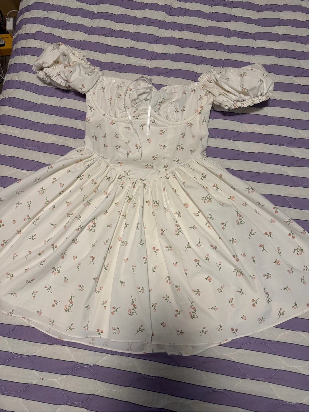 Babyboo Ivory Pink Floral Corset Puff Sleeve Mini Dress XS